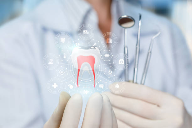 Best Traditional Braces  in South Holland, IL
