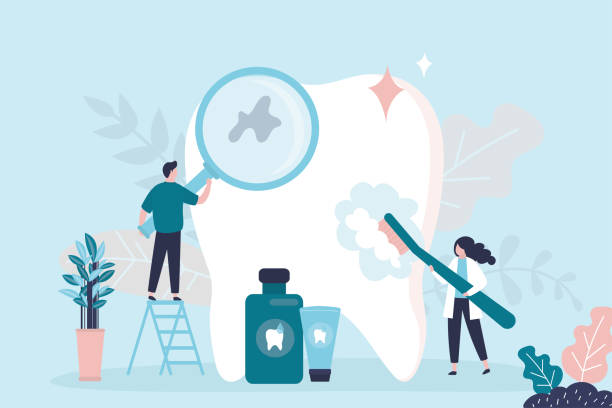  South Holland, IL Holistic Dental Services Pros
